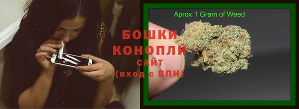 COCAINE Богородицк